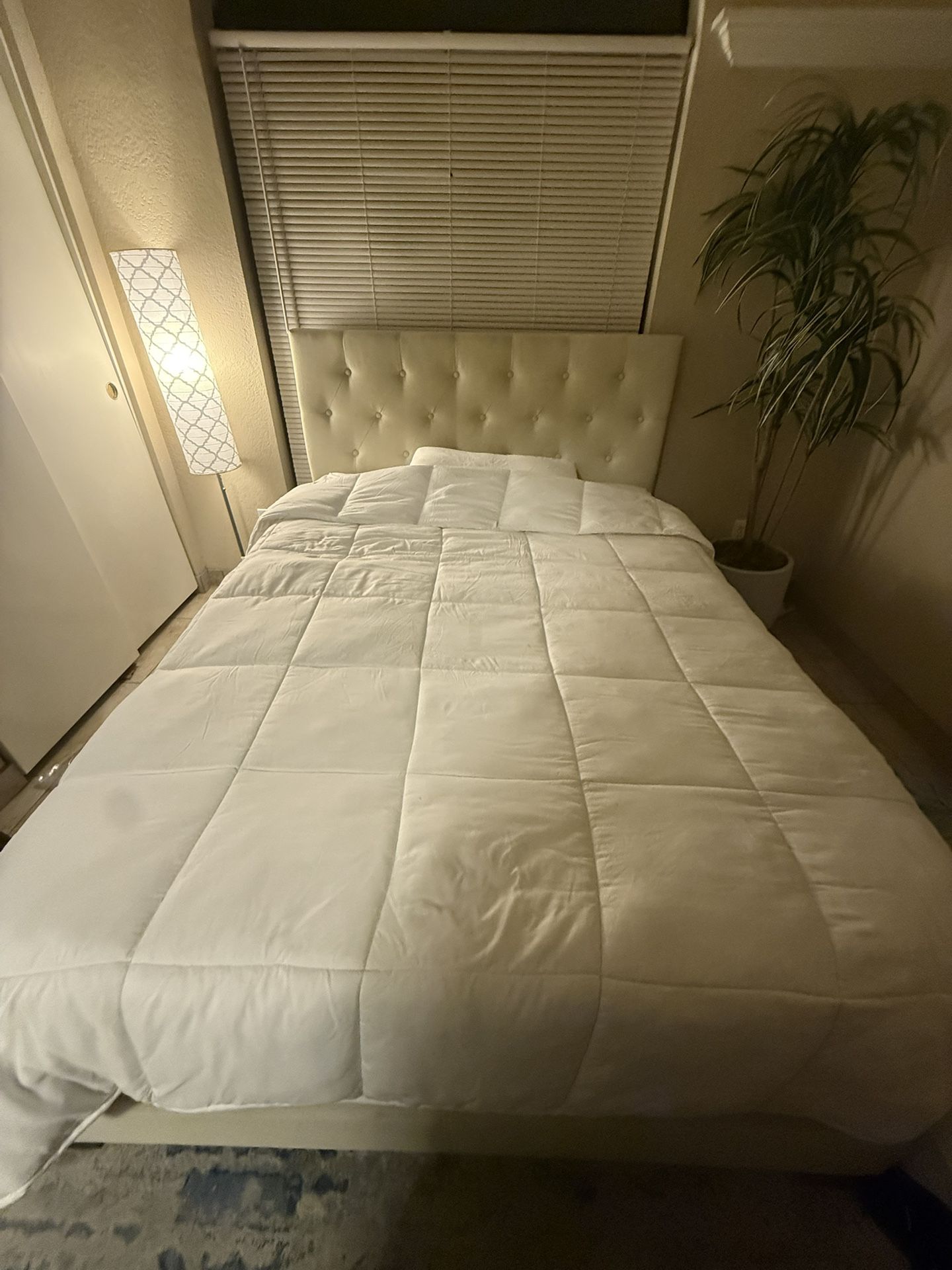 Full Size Bed With Mattress and Box Spring!