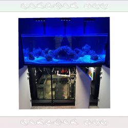 Massive Aquarium Tank - Wide & Stunning Display series ask