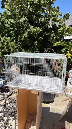 Bird cage
