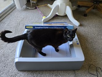 PetSafe Automatic Litter box