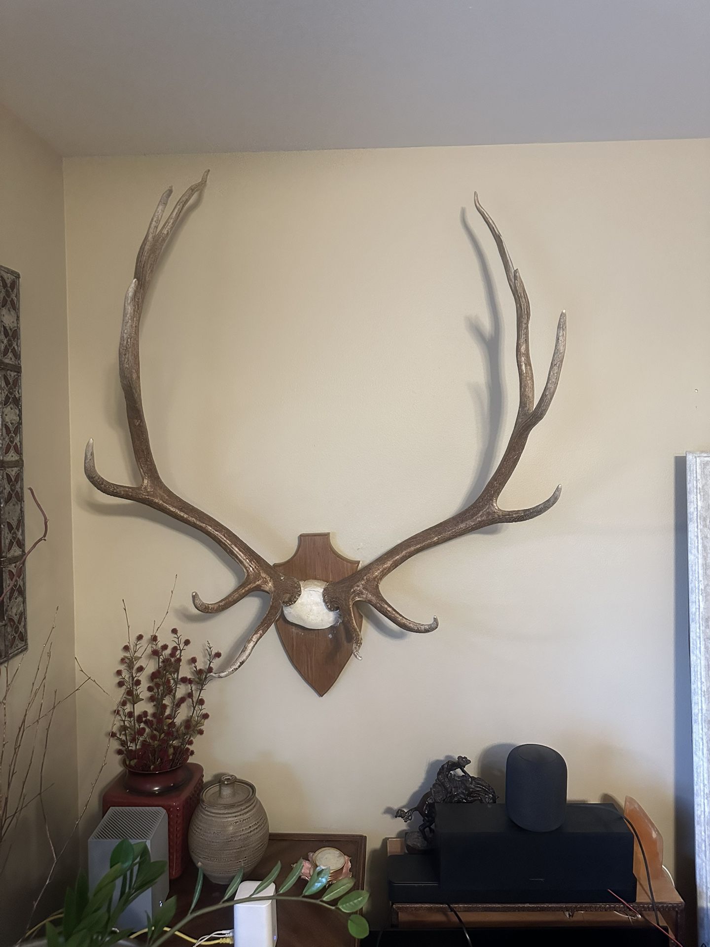 Elk Antlers.