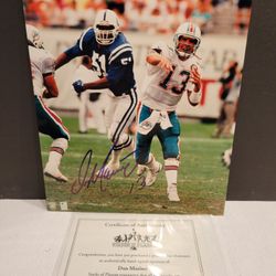 Miami Dolphins great Dan marino signed 8 X 10 photo