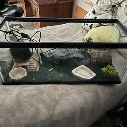 20 Gallon Tank