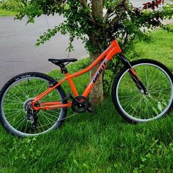 Giant Kids Mountain Bike