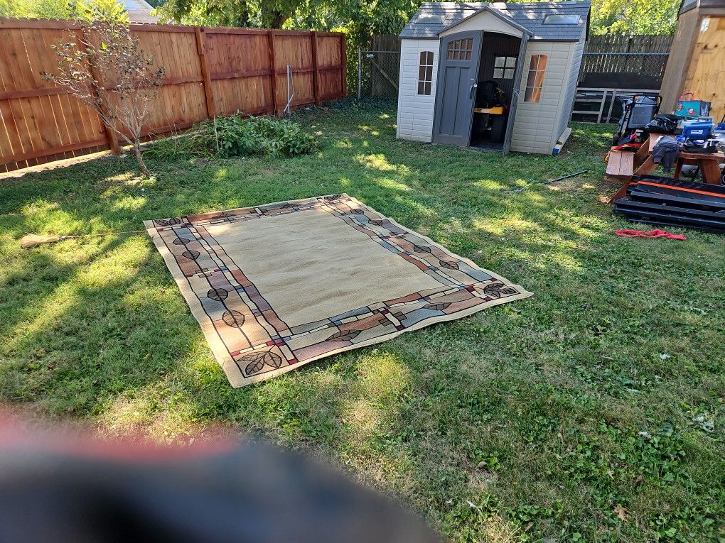 Area Rug Great Condition