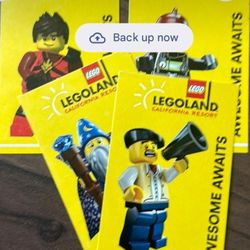 Water Park Included Legoland Tickets