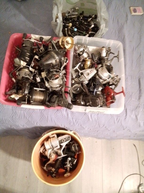 Fishing Reels