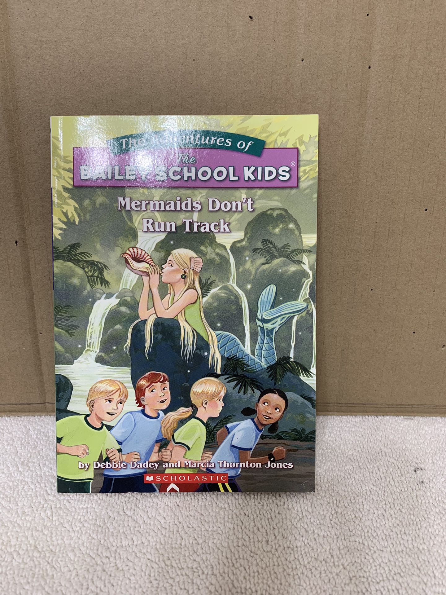 The  Adventures  Of  The  Bailey  School  Kids     Book)