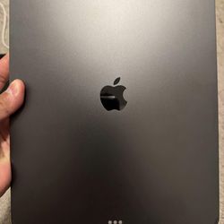 iPad Pro 2024 (M4 Model) 13 in. (256 GB) WiFi + Celular
