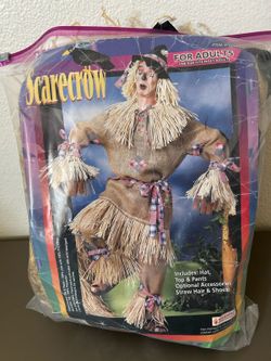 Wizard of Oz costume