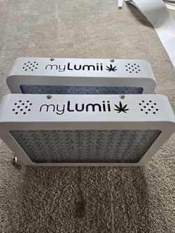 Growing Weed Lights MyLumii