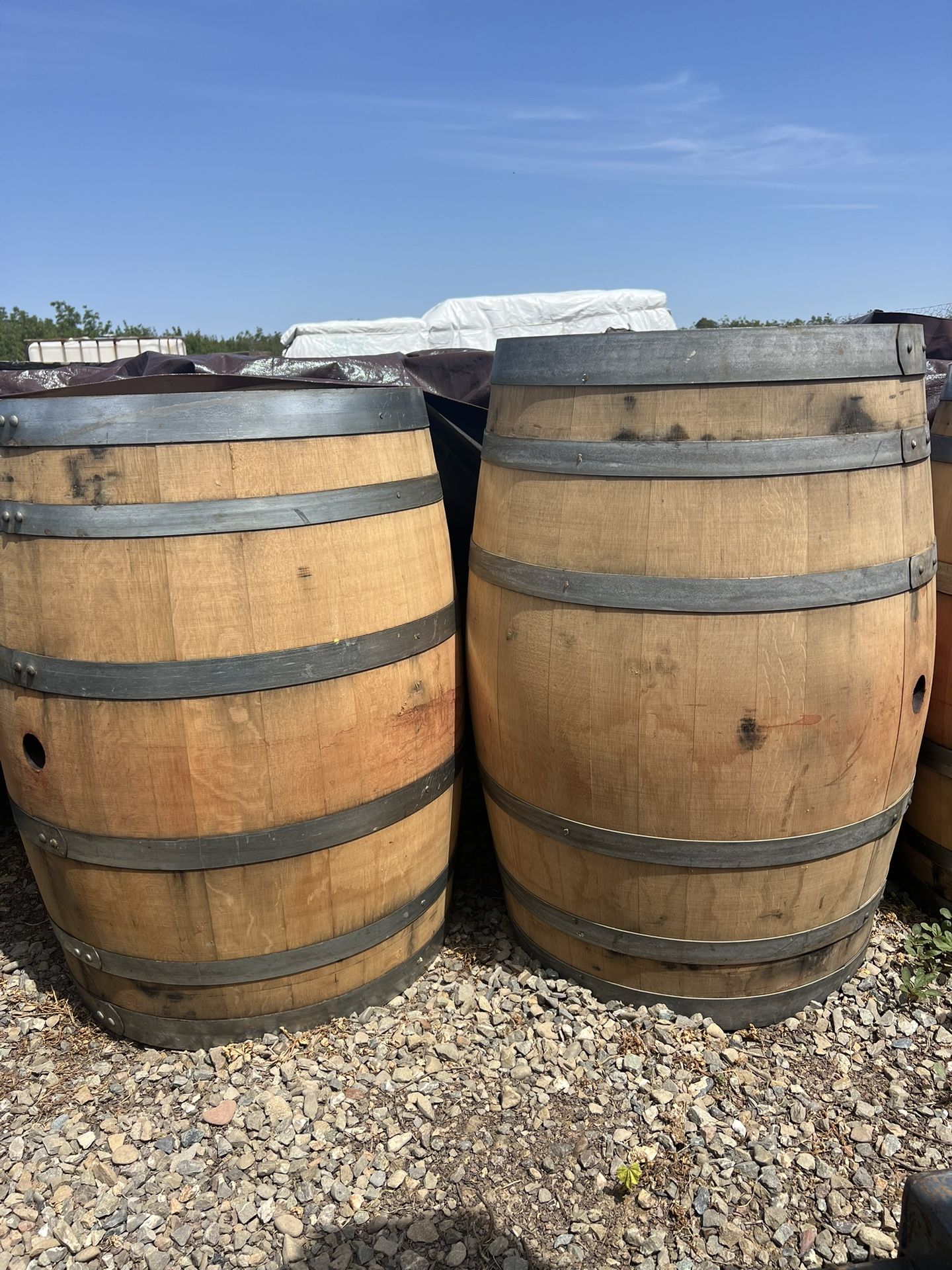 Wine Barrels
