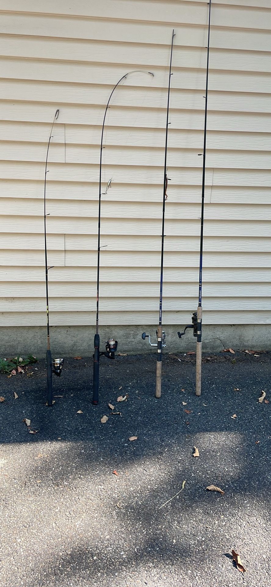Fishing Poles & Reel