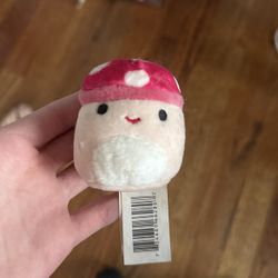 Mini squishmellow