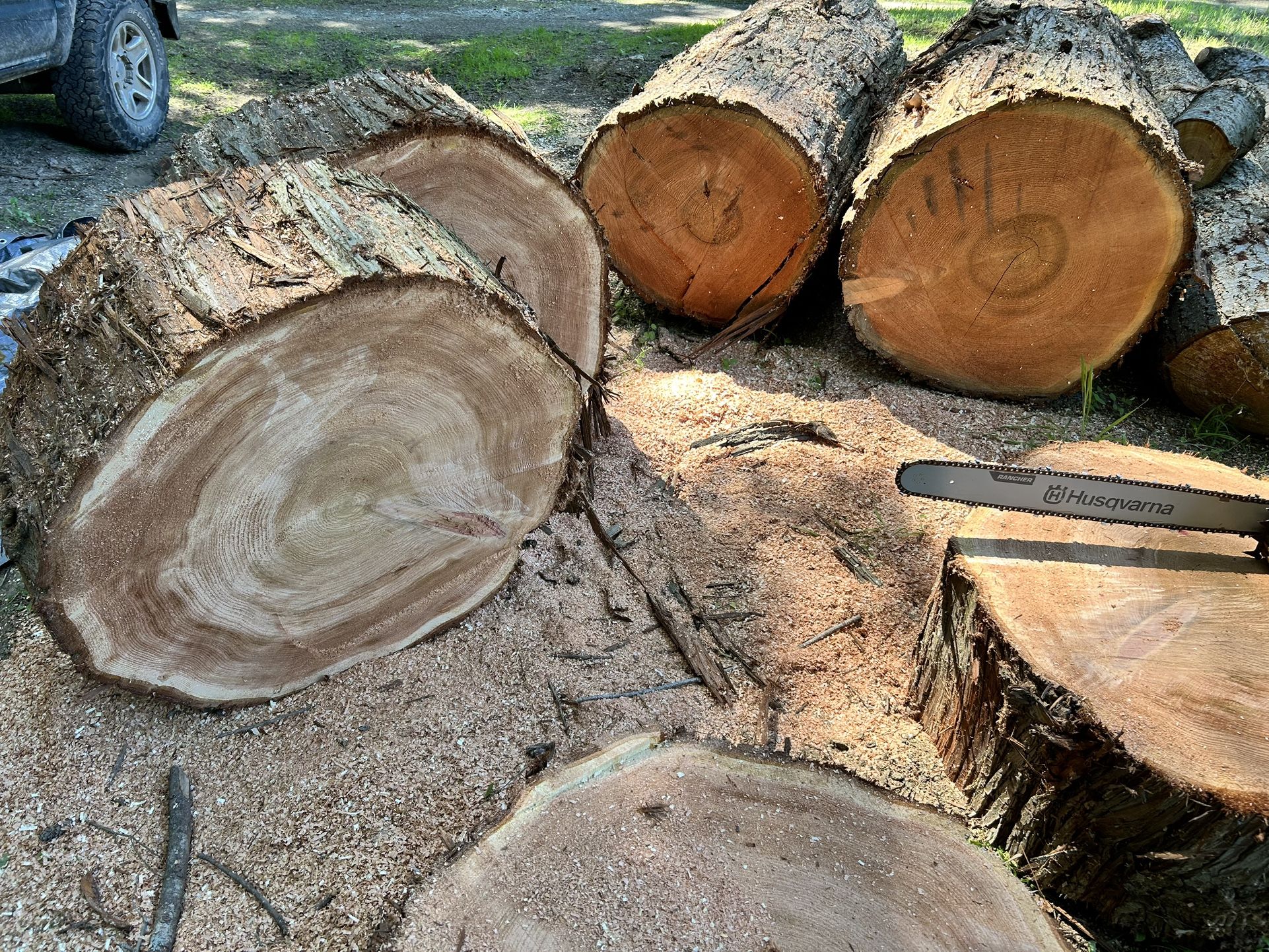 Cedar Rounds