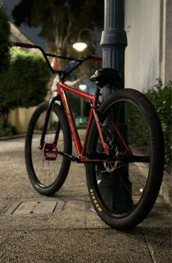 Earl read throne 29er