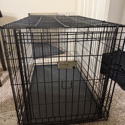 dog crate