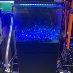 Marine Land 20 Gallon 