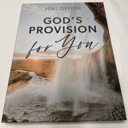 God's Provision for You by author Joel Osteen