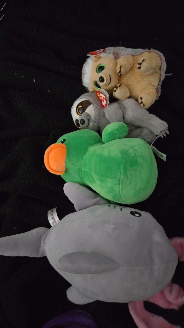Stuffed Animals
