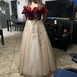New w/ Tags Quince/Prom Gown