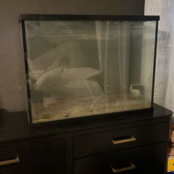 35 Gallon Glass Tank 