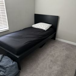 2 Twin Sized Beds ( $175 for 1 bed, $300 for both)
