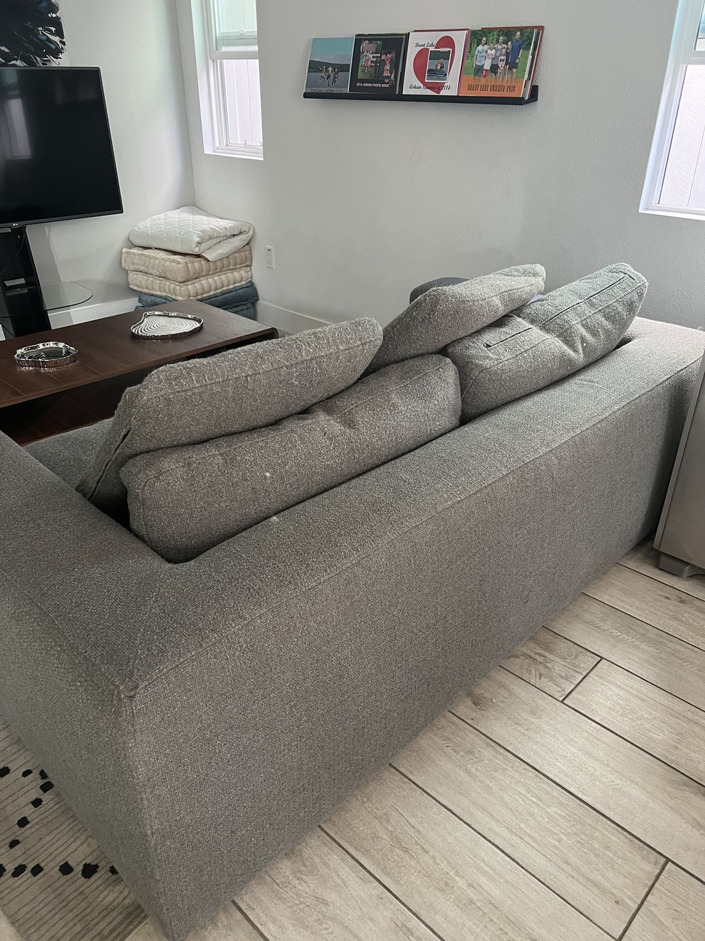 Scandinavian design, low profile couch
