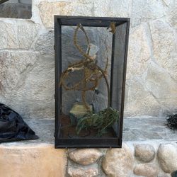 Iguana or Chameleon Cage