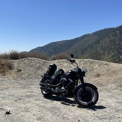 2015 Harley Davidson Fatboy Lo