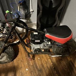 Big Boy Mini Bike 