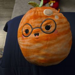 Squishmallows 