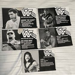 WWF Hasbro Bio Cards