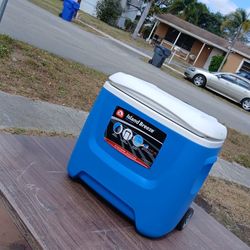 Island Breeze 28qt Cooler 