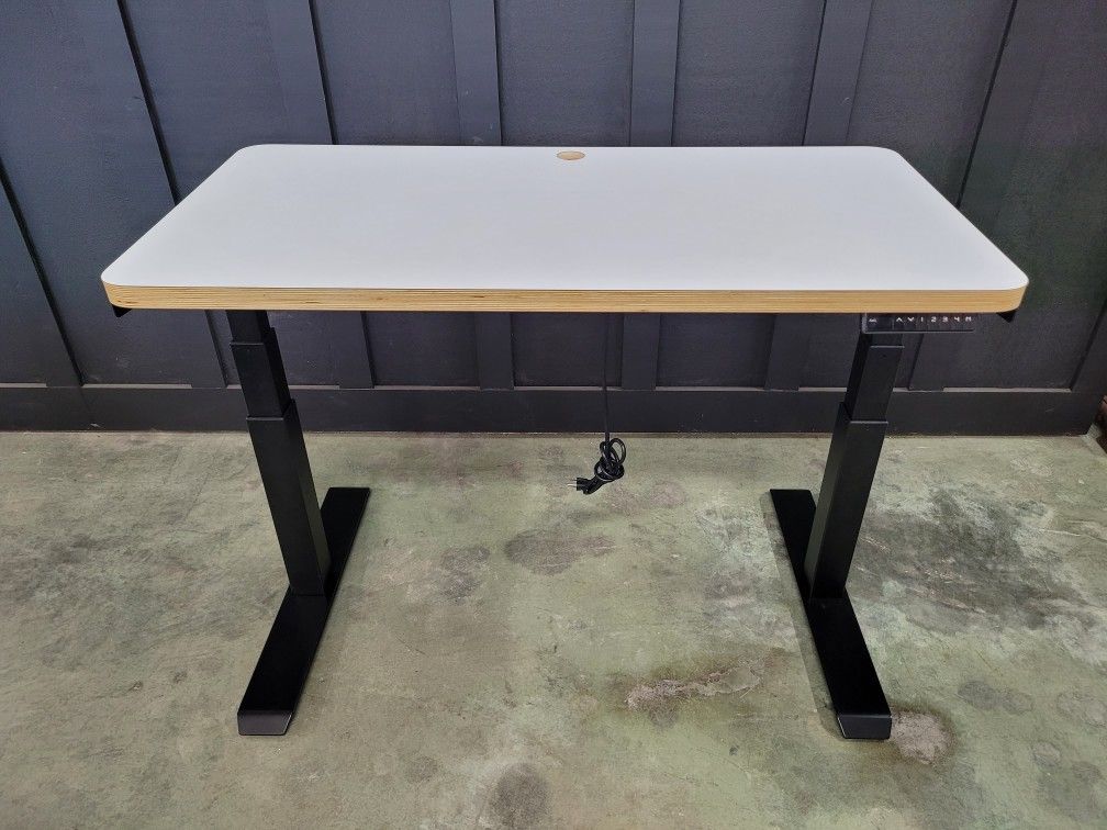 Electric Adjustable Desk