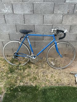 Vintage Schwinn Traveler Bike
