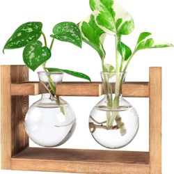 Terrarium Propagation Glass Bulb Vases W/ Wooden Stand