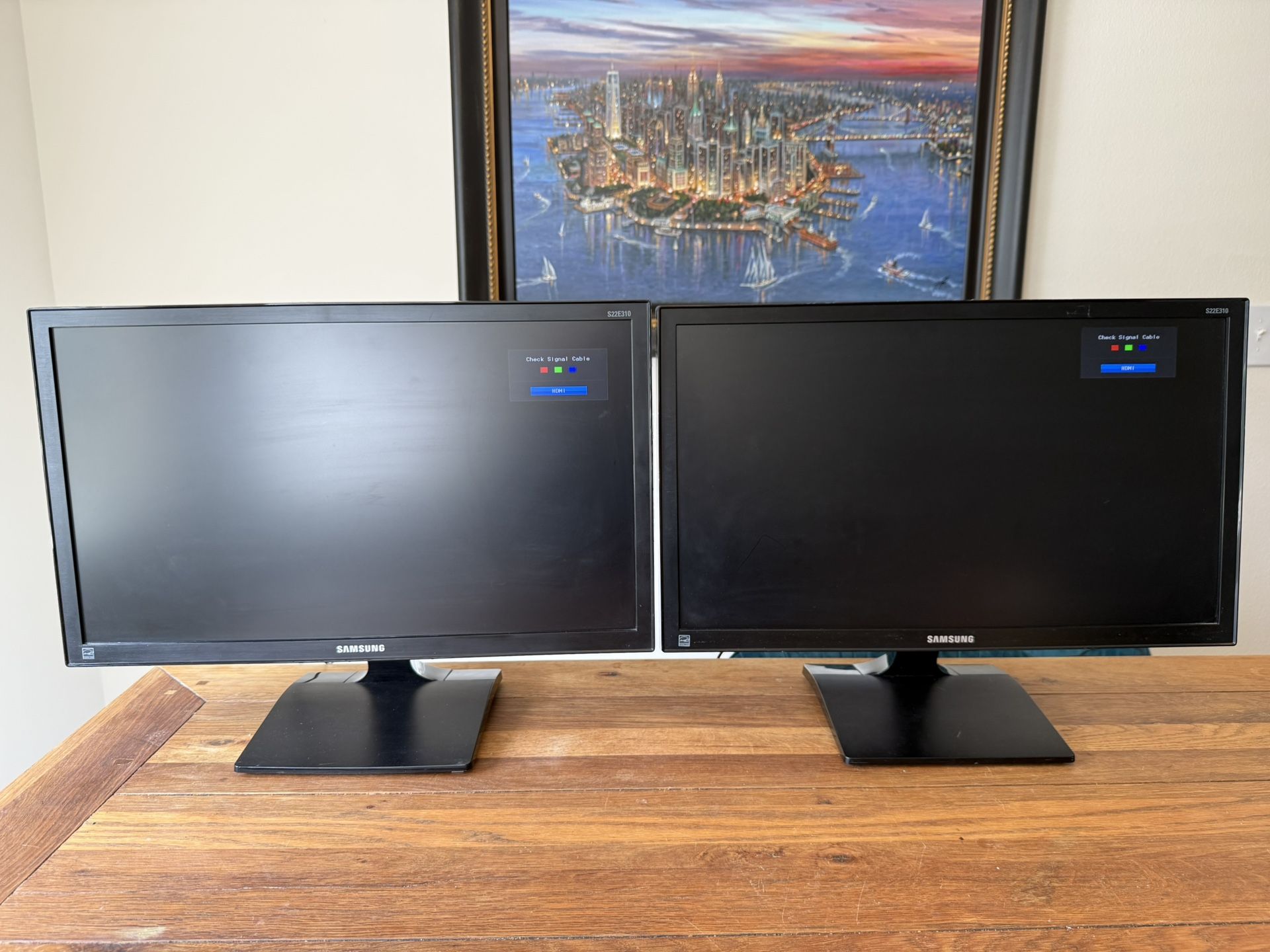 Samsung 21.5 Inch Dual Monitors w/ Mount