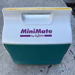 Vintage Igloo Mini Mate Cooler Teal and Purple Color 4 quart holds a six pack or a lunch 
