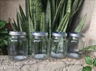Elegant 4-Pack 16 oz Clear Glass Mason Jars with Silver Lids for Food Storage