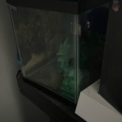 Fish Tank