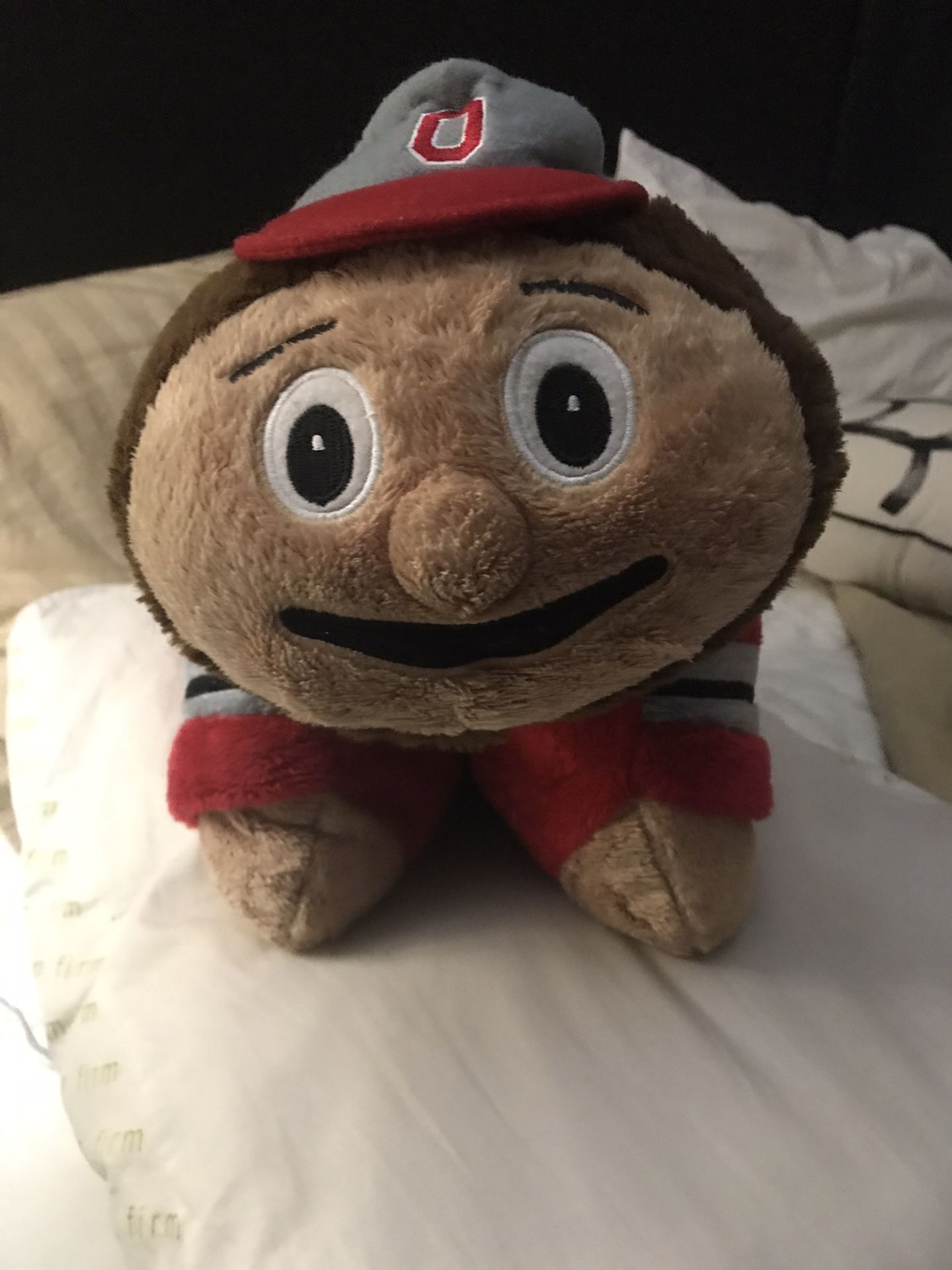 Brutus Buckeye Pillowpet