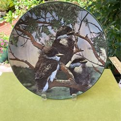 Royal Doulton 10.5” Plate  Young Kookaburras