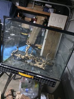 80g Terrarium