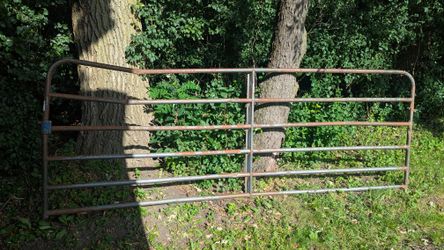 Cattle Gate 