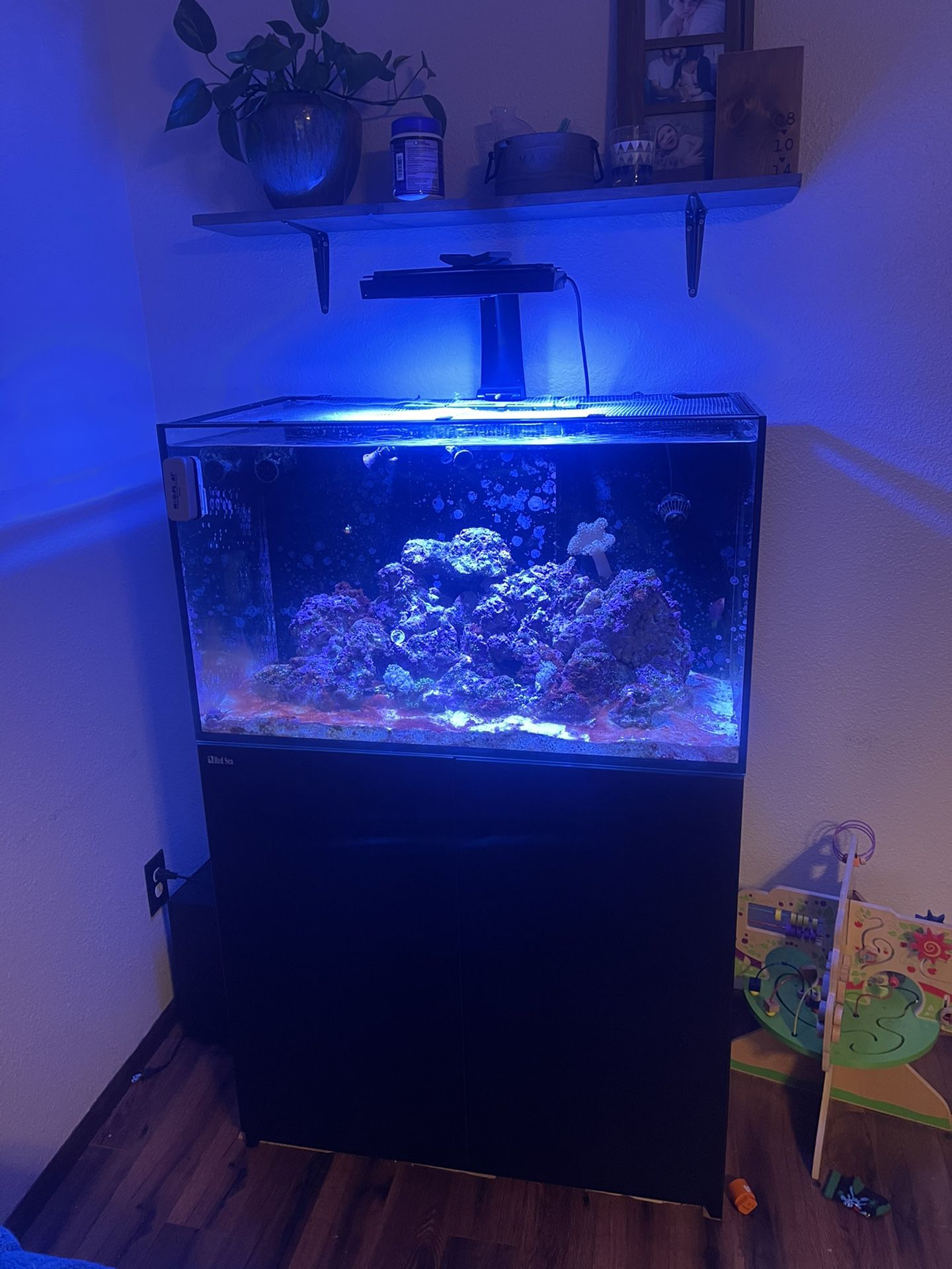 Selling redsea reefer 250 Oct skimmer Eco tech xr15 g2 Eco tech vectra s2 Tunze ato Brs 4 stage 75gpd rodi unit One vortec power head Red sea reefer m