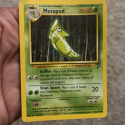 1995 Metapod