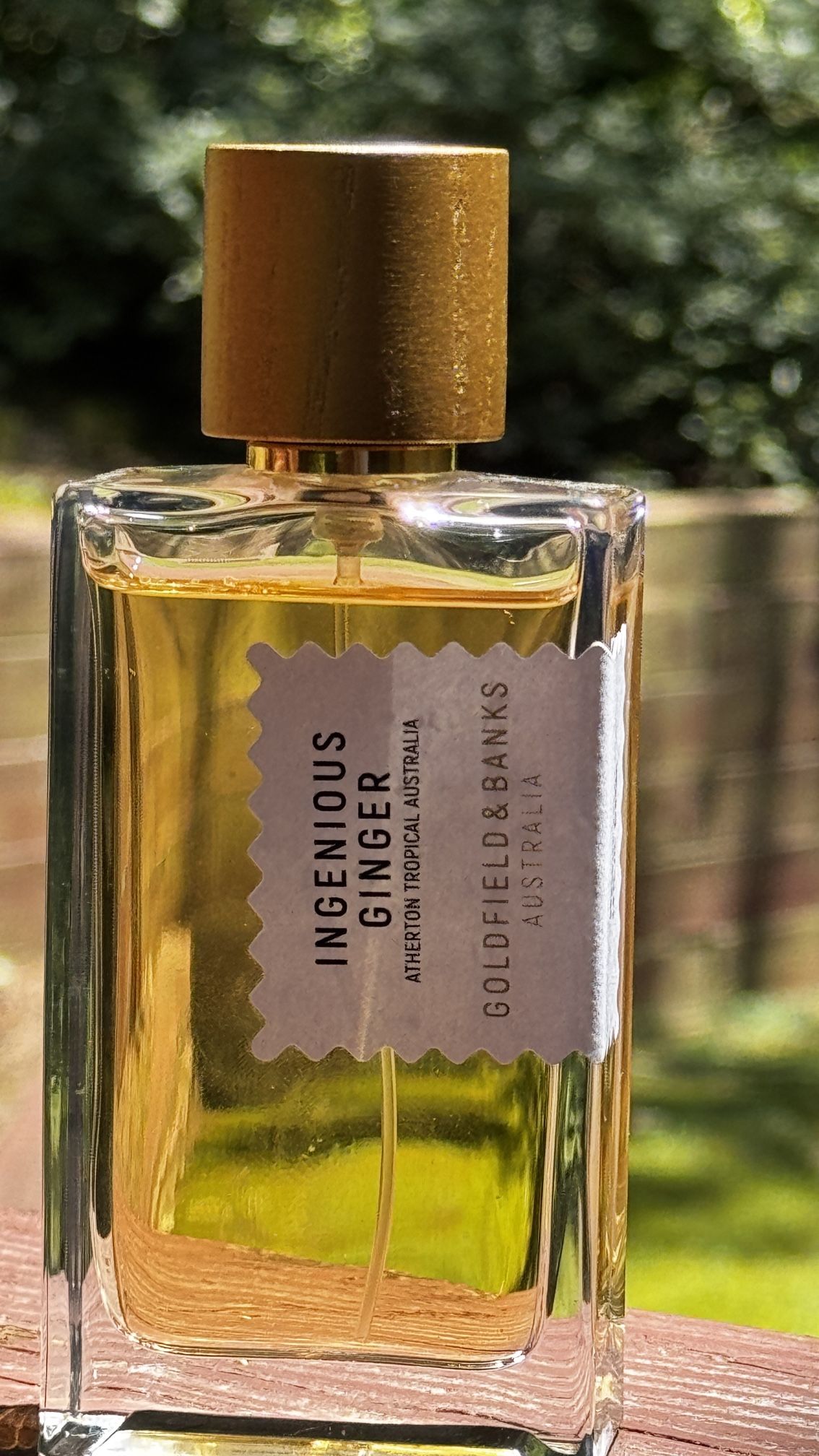 Ingenious Ginger by Goldfield & Banks