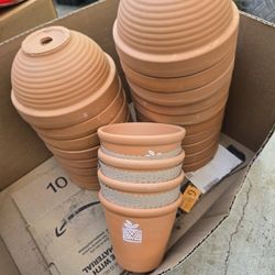 Pots/plants 
