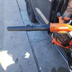Echo Pb-2520 Gas Blower